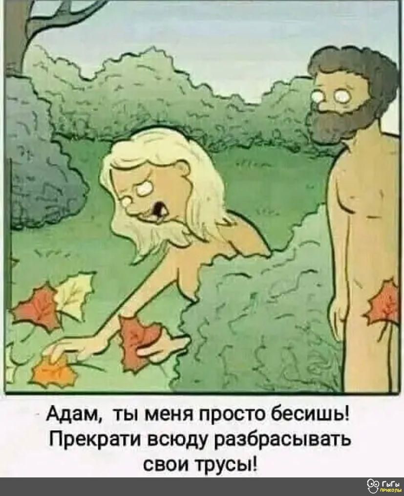 Адам ты меня просто бесишь Прекрати всюду разбрасывать свои трусы