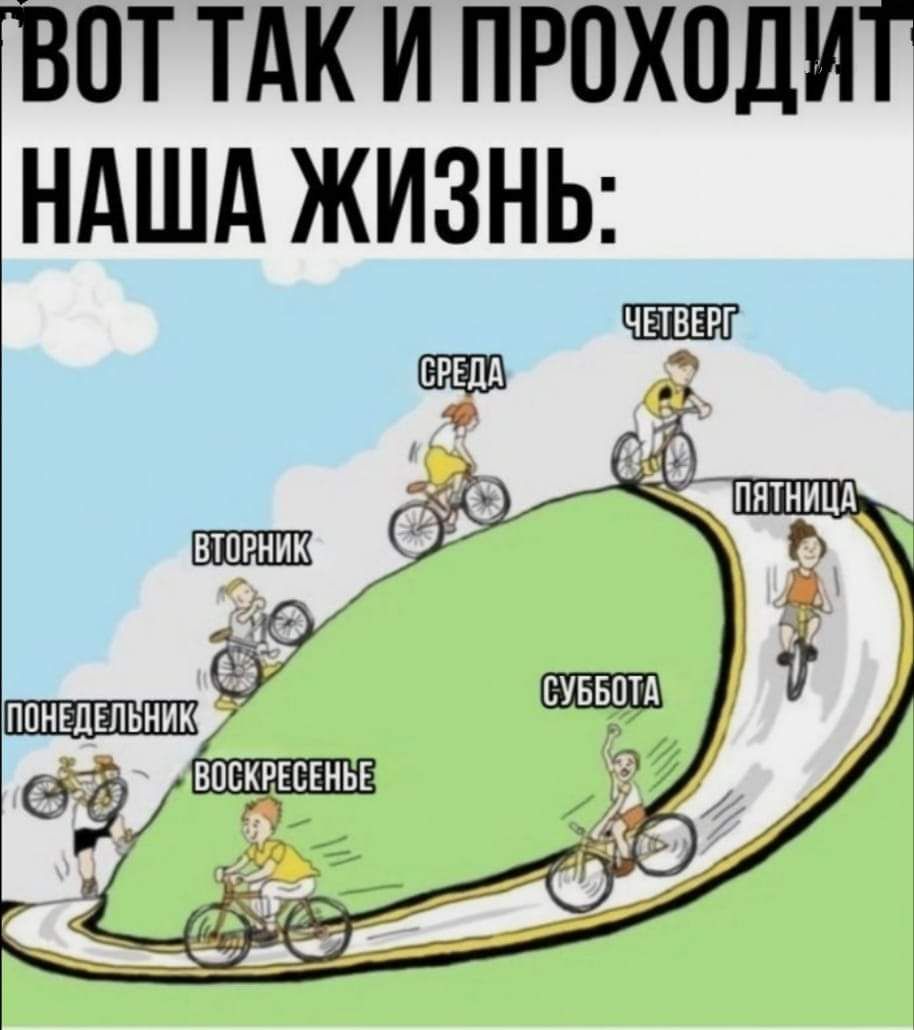 ВОТ ТАК И ПРОХОДИТ НАША ЖИЗНЬ