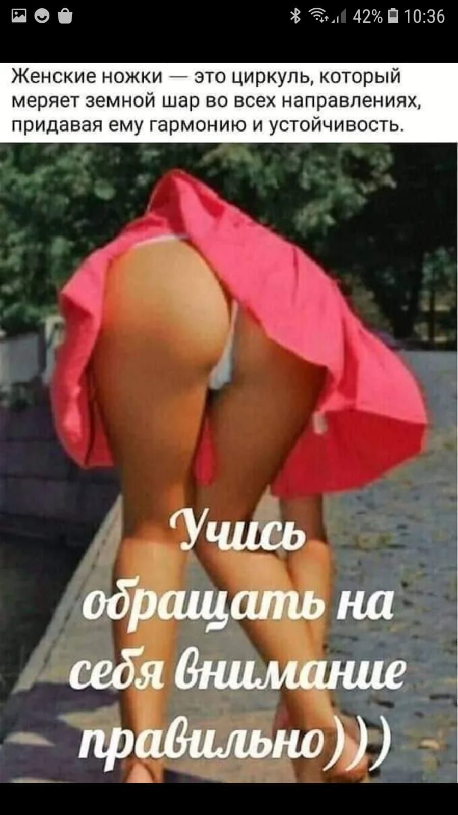 Ёе 183 4291036 Женские ножки это циркуль который меряет земной шар во всех направлениях придавая ему гармонию и устойчивость