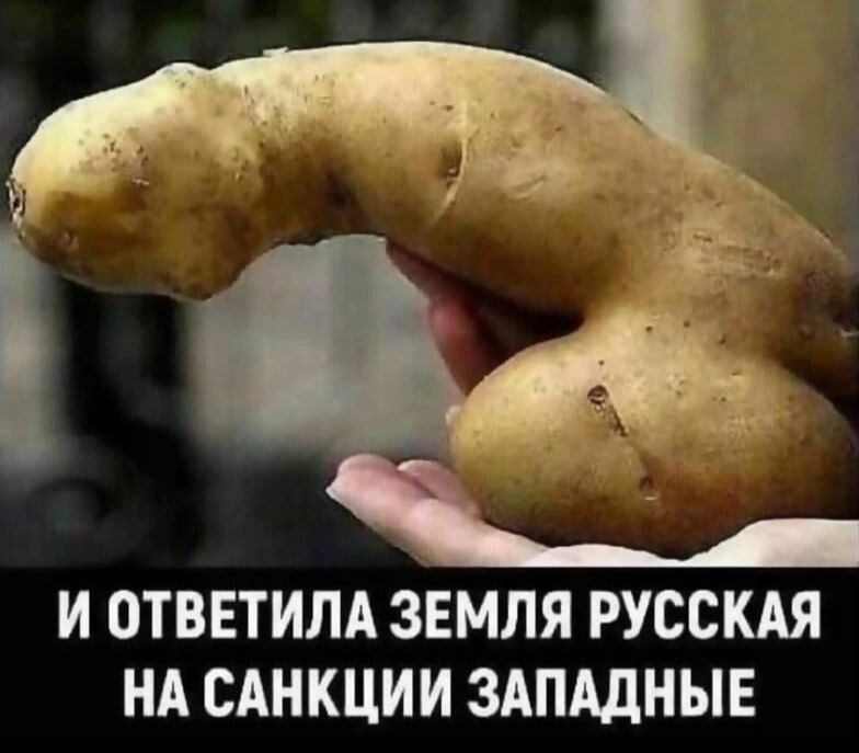 И ОТВЕТИЛА ЗЕМЛЯ РУССКАЯ НА САНКЦИИ ЗАПАДНЫЕ