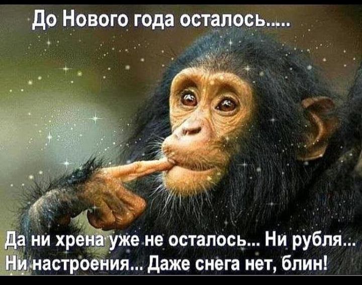 не осталбсь Ни рубля даже смет нёт блин
