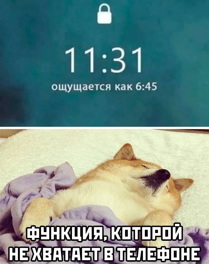 1131 ощущается как 645