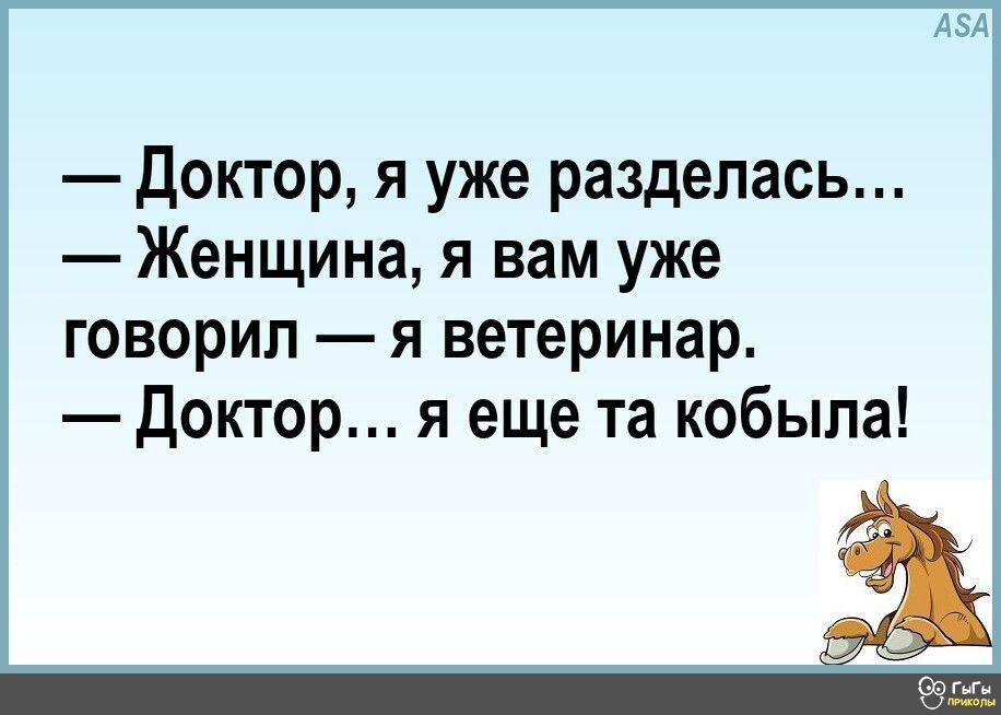 Доктор я уже разделась Женщина я вам уже говорил я ветеринар Доктор я еще та кобыла