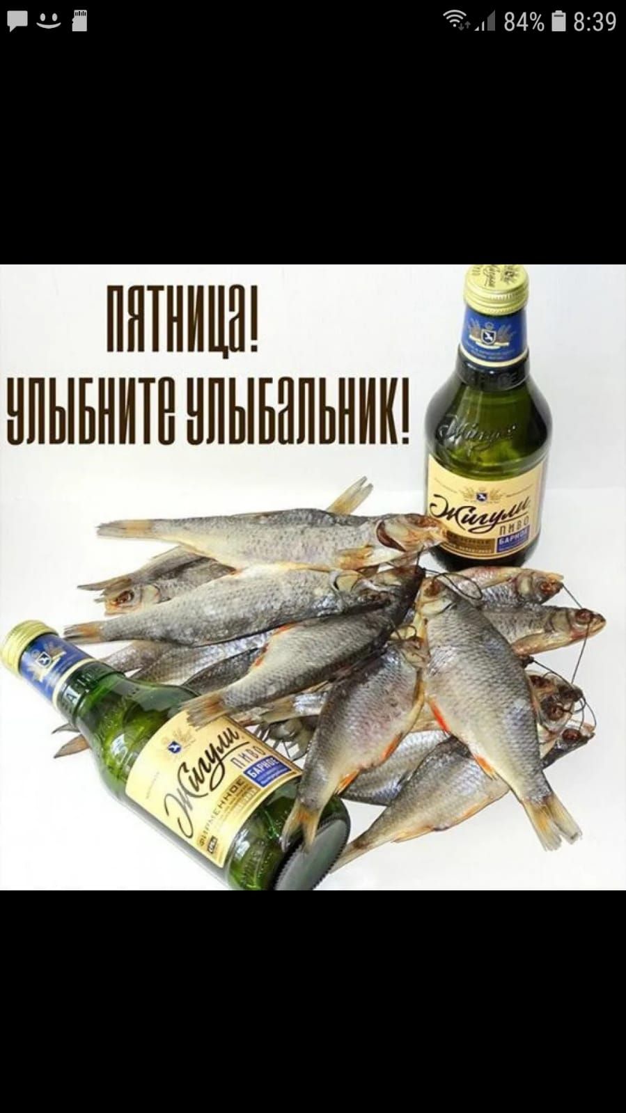 Ці Эд 84і8139 пятница нпыьниш нпыьнпьник