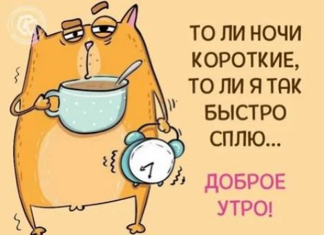 ТО ЛИ НОЧИ КОРОТКИЕ ТО ЛИ Я ТНК БЫСТРО СПЛЮ дОБРОЕ УТРО