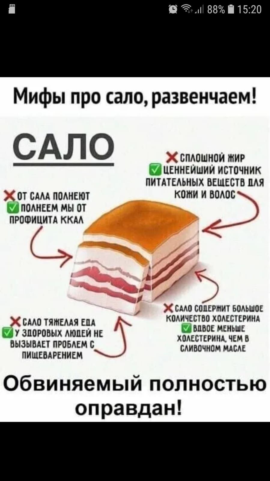 и 88 П 15 20 Мифы про сало развенчаем САЛО ЕПАПШППЙ МИР пикникишии источник нительных всшшв мя 301 БАМ помет кожи и вашг плоды мы от питии ккм или спирты ьпдьшп Х САМ ТПМЕААЯ пд КШЧЕЕЕП ХПАЕПЕРИИА У зпогпьых АИШЕИ и дщкичъіпдів нызышт пгпмім с ними пищшиииси Обвиняемый полностью оправдан