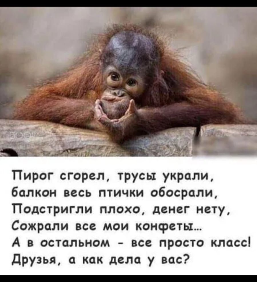 Й и 72і2105 Пирог сгорел трусы украли балкон весь птички обосрапи Подстригли плохо денег нету Сожрали все мои конфеты А в остальном все просто класс друзья а как дела у вас
