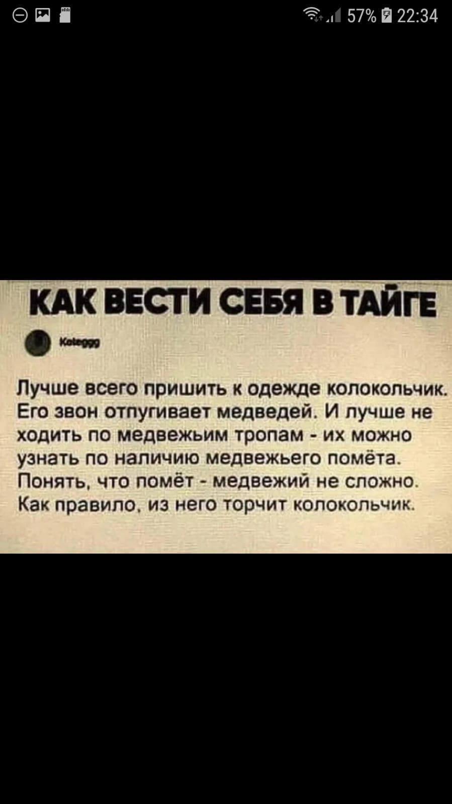 9 П і 57 В 2234 кдк ввсти сидя в ТАЙГЕ и Пучше всего пришить к одежде колокольчик Его звон отпугиваеч медведей И лучше не хадить по медвежьим тропам их можно узнать по наличию медвежьего помета Понять что помёт медвежий не сложно Как правило из него торчит опоюпьчих