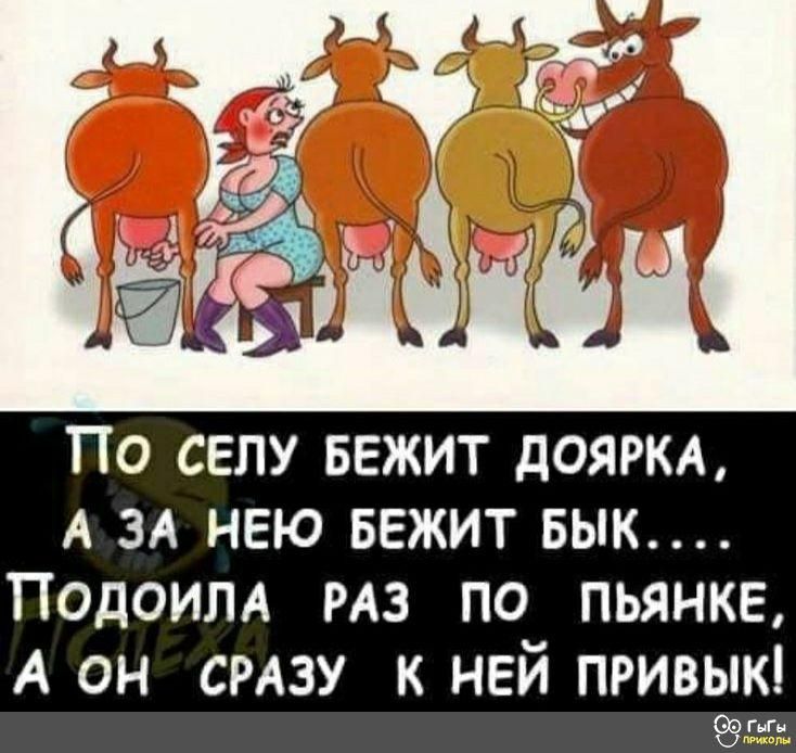 По селу БЕЖИТ дояркд А ЗА нею БЕЖИТ вык Подоим РАЗ по пьянке А он смзу к ней привык и