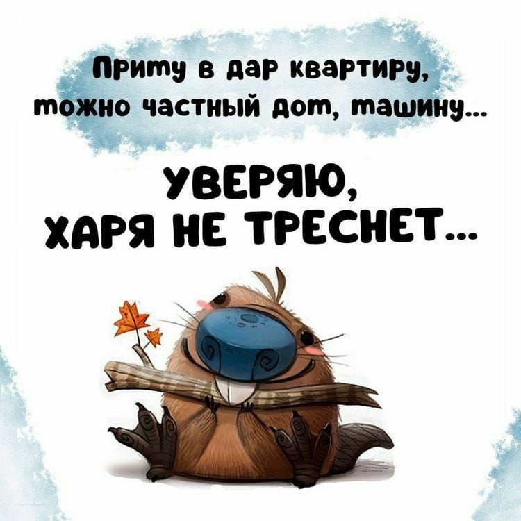 Приплю в дар квартиру, можно частный дом, машину... УВЕРЯЮ, ХАРЯ НЕ ТРЕСНЕТ...