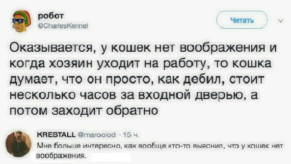 робот _ Опитеашучте Оказывается у кошек нет воображения и когда хозяин уходит на работу то кошка думает что он просто как дебил стоит несколько часов за входной дверью а потом заходит обратно КНЕ5ТАЦ тагоо по 15 ч Мне больше интдрвснц ппсбщв ктгътп выяснил чтп у к нет воображен ип