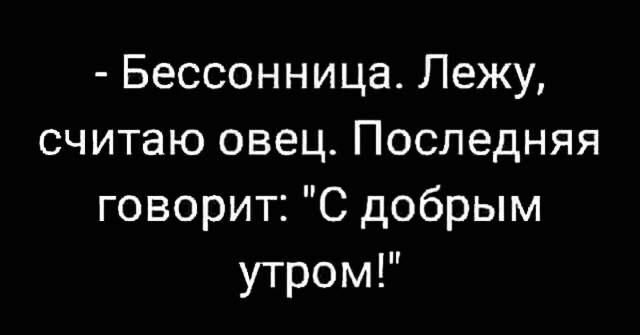 Бессонница Лежу считаю овец Последняя говорит С добрым утром