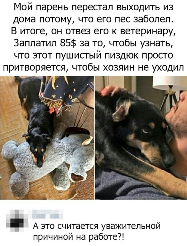 Мой парень пересгап выходить из дома потому что его пес заболел В итоге он отвез его к ветеринару Заплатил 85 за то чтобы узнать что этот пушисгый пИздюк просго притворяется чтобы хозяин не уходил _ А это считается уважительной причиной на работе