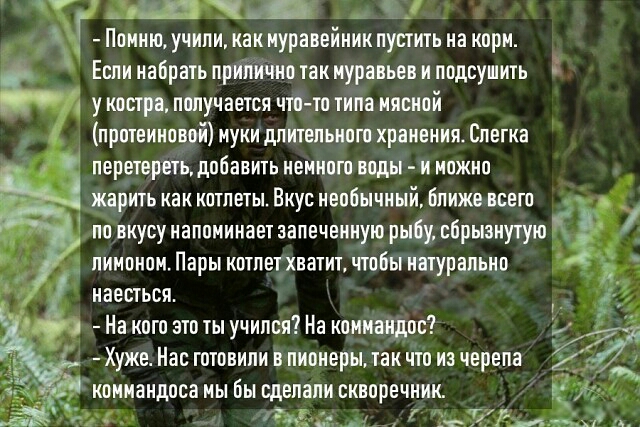 Помню учипи как муравейник пустить на корм Еши набрать прилично так муравьев и подсушить Ё у костра получается что то типа мясной прптеиновой муки длительного хранения Слегка перетереть добавить немного воды и можно жарить как котлеты Вкус необычный ближе всего по вкусу напоминает запечемную рыбу сбрызнутую лимоном Пары котлет хватит чтобы натурально наесться На кого это ты учился На коммандос ХУЖ
