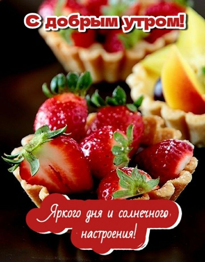 Ярлсога дня и штатного 1 напротия