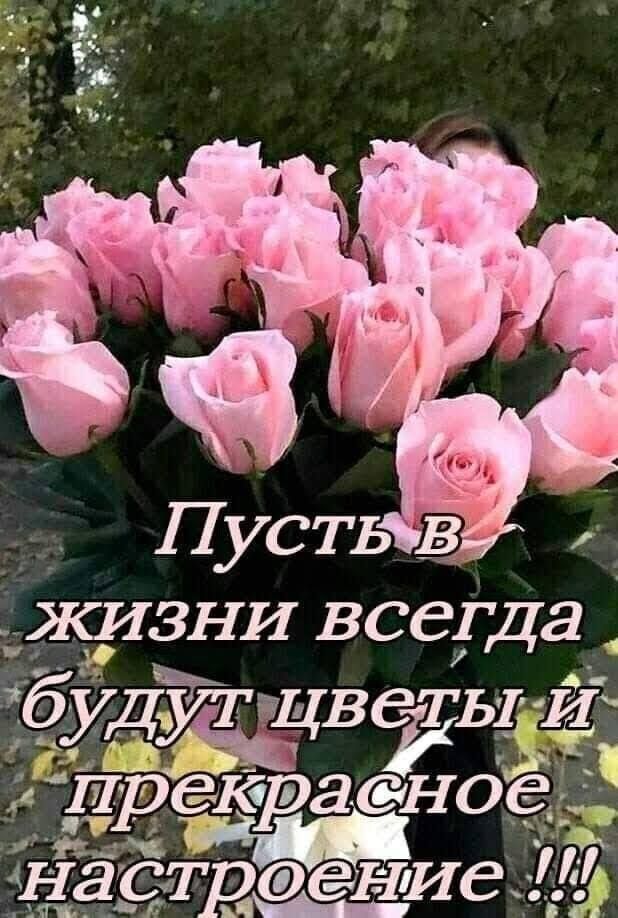 іёд Пусть ЖИЗНИ всегда удуті нцве ТЬТЙ Ё19ещэа смогЁ настрсдениа тт миг