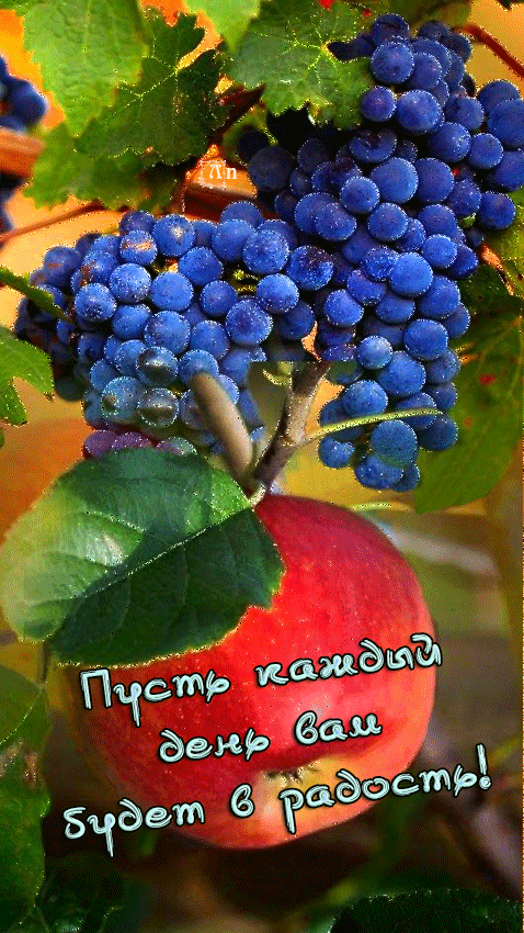 ёдёд'