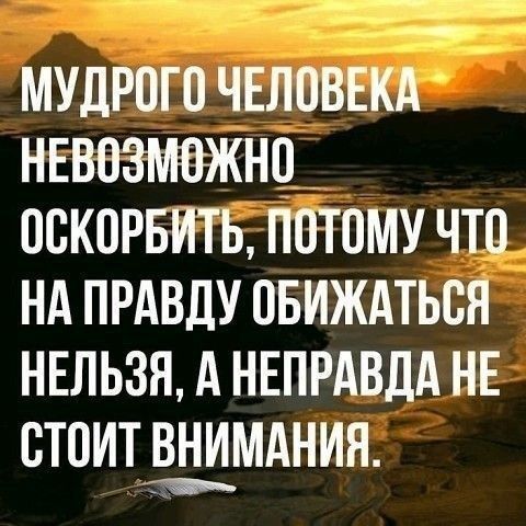 мудрого чнловвкд нвввзмжнц_ вскорвить потому что нд прдвду овиждться ншьзмншрдвдднв стоит мдния