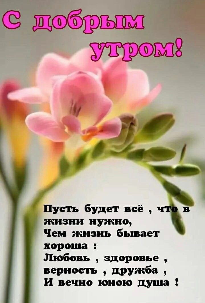 Пусть будет всё в жизни нужно Чем жизнь бывает хороша Любовь здоровье верность дружба и вечно юною душа