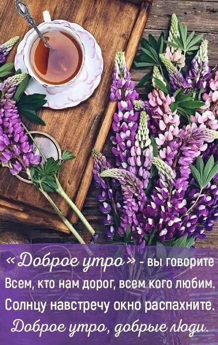кто нами в ог всщКпголюб