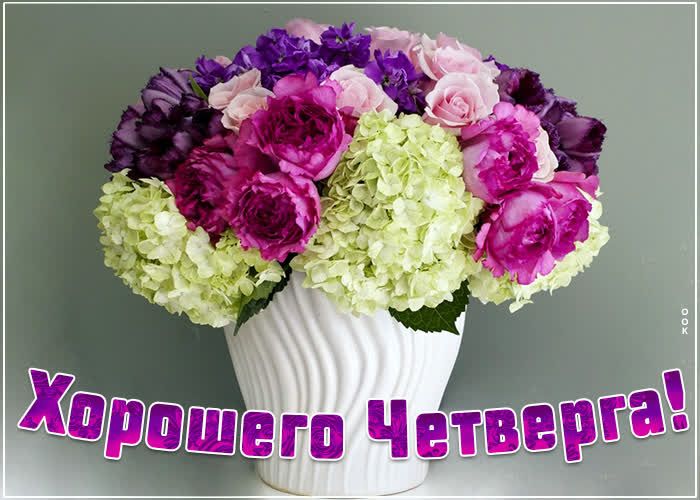 Хорошего чирш