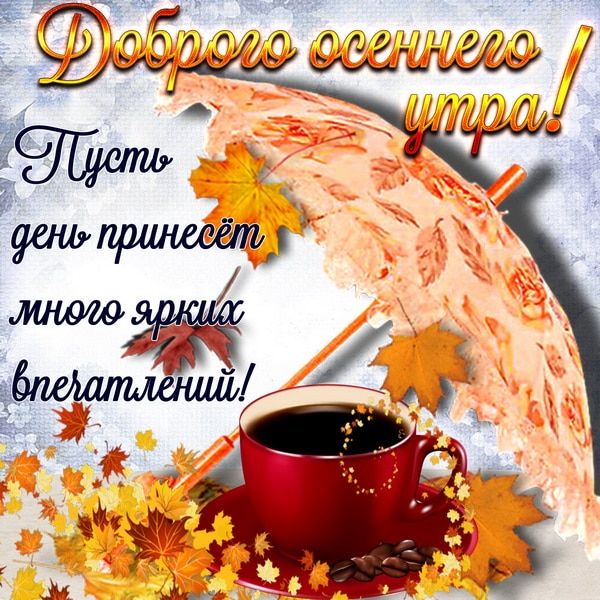 т к, йо н  : '4 ю тр,