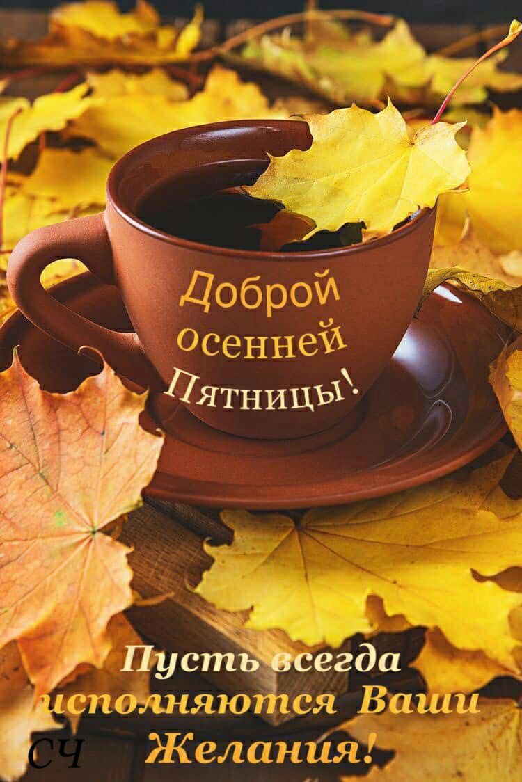 ддстадтжжю аиста Баши Ж влет1117