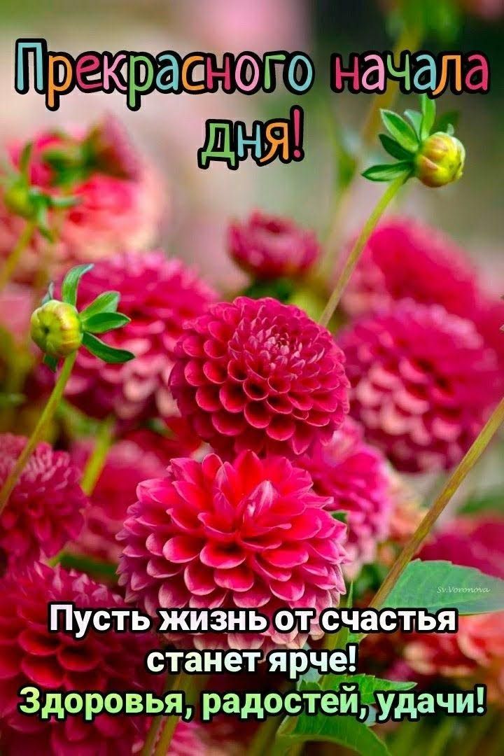 част  пуст жизцзртс астья станетярче'