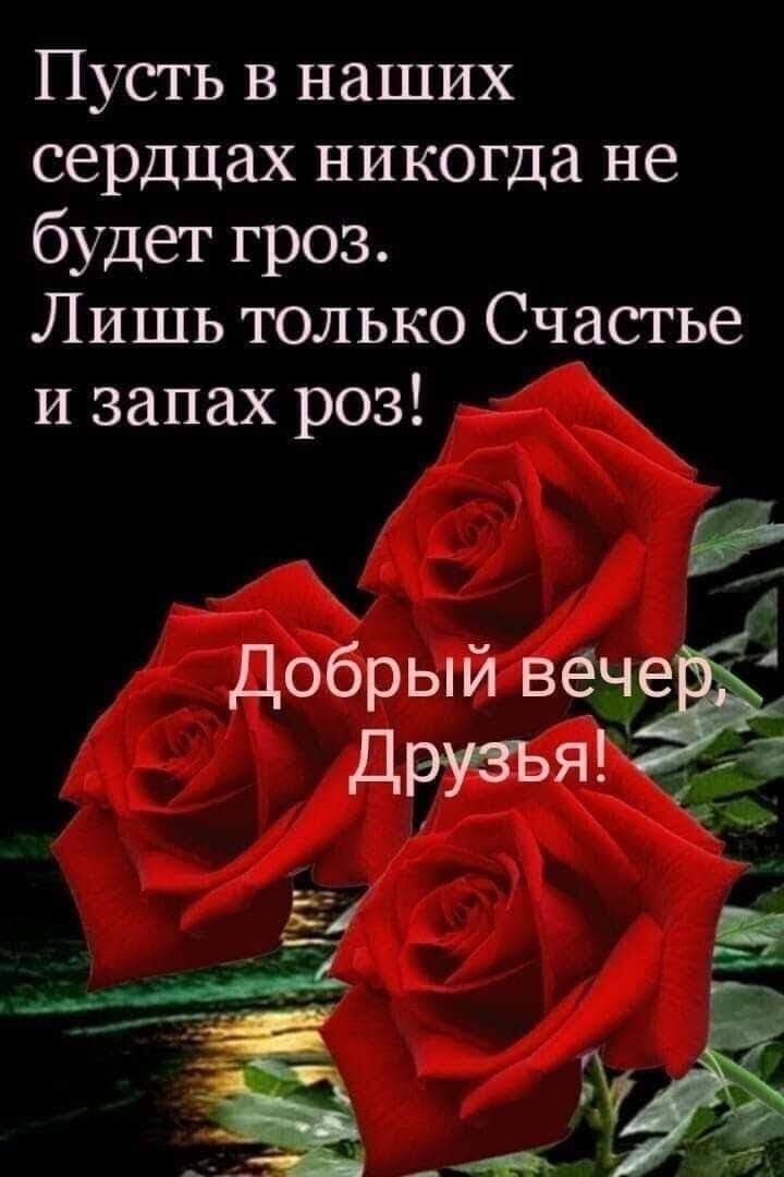 Пусть в наших сердцах никогда не будет гроз. Лишь только счастье и запах роз! Добрый вече 5 друзъя'