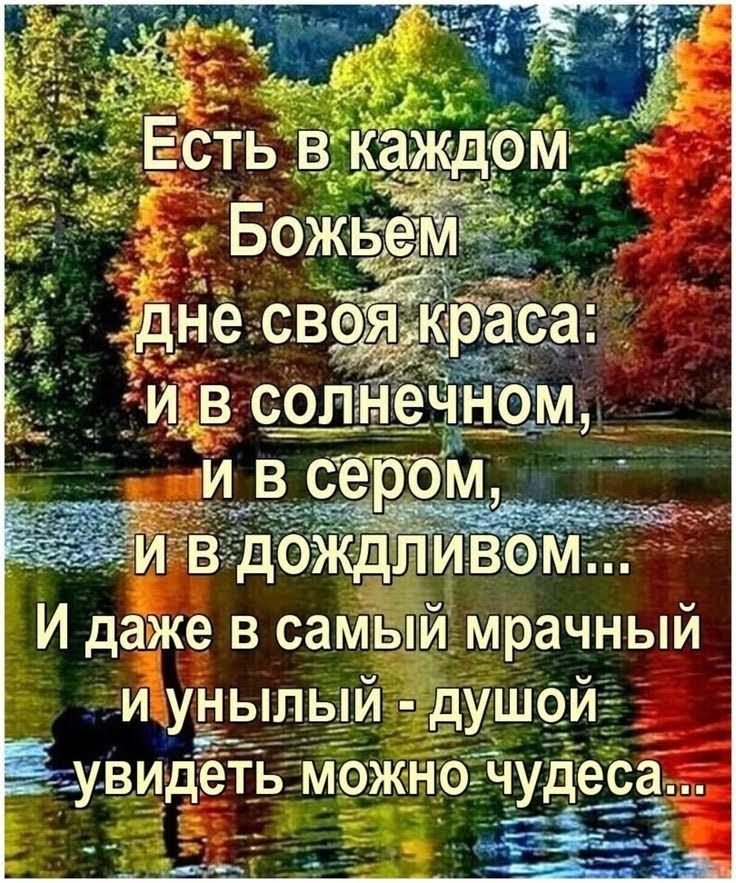 Иунылый  душои  !увидеть можно чудеса к ре ите