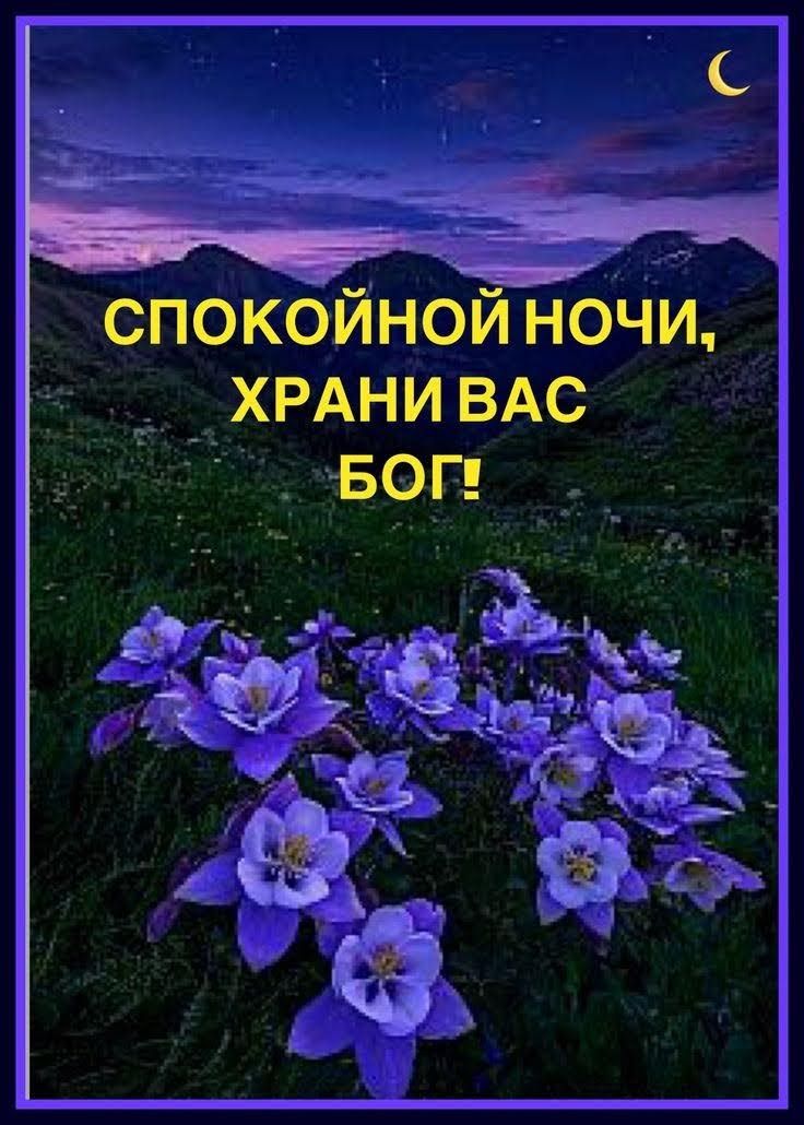 спокойной ночи ___хрдни ВАС