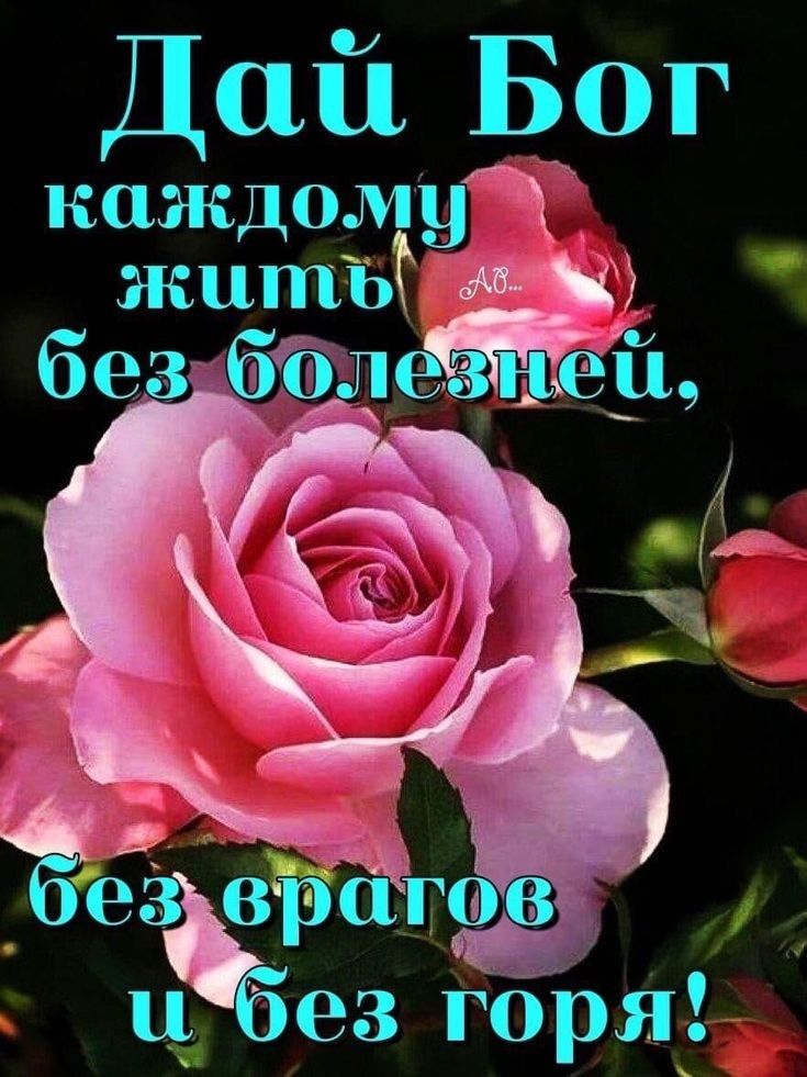 Дай Бог каждому житЪЁ мег М без бцліъ