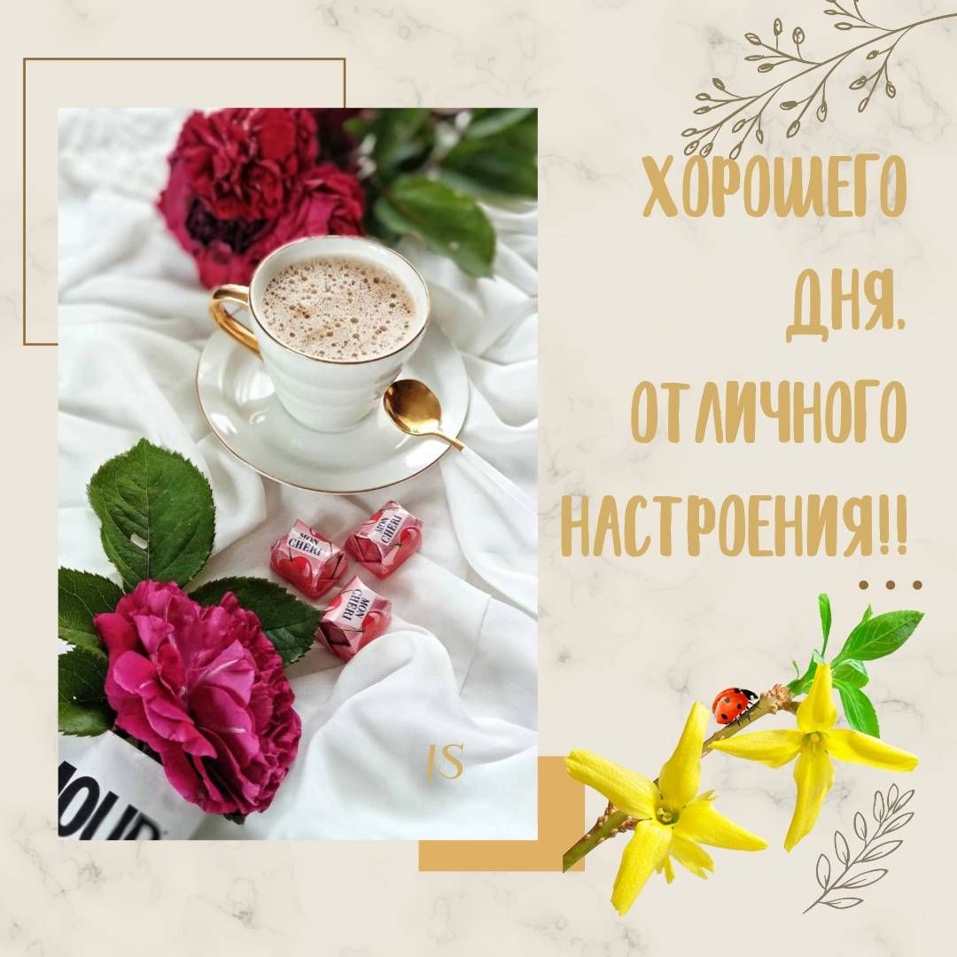 хббошпо дня щ отдичнот ншроънияп