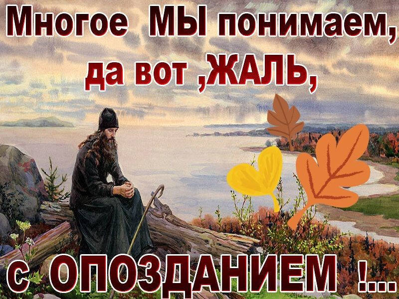 Многое МЫ понимаем да вот ЖАЛЬ