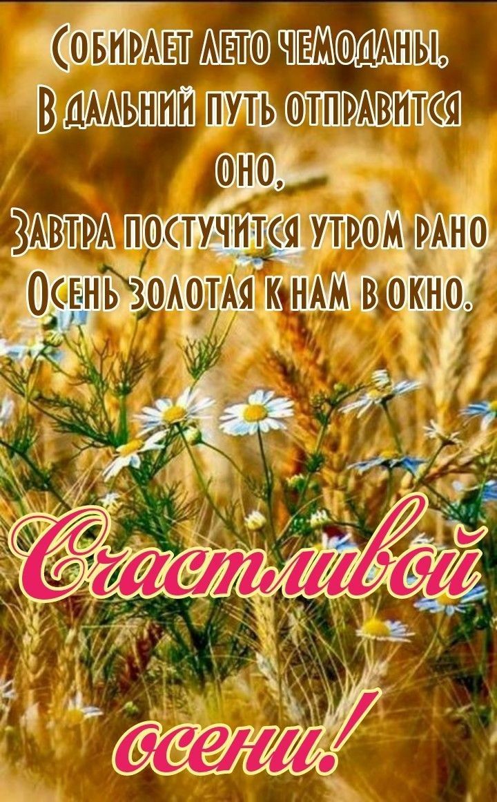 овнштшшЕШолАны В путь отпмвпкя