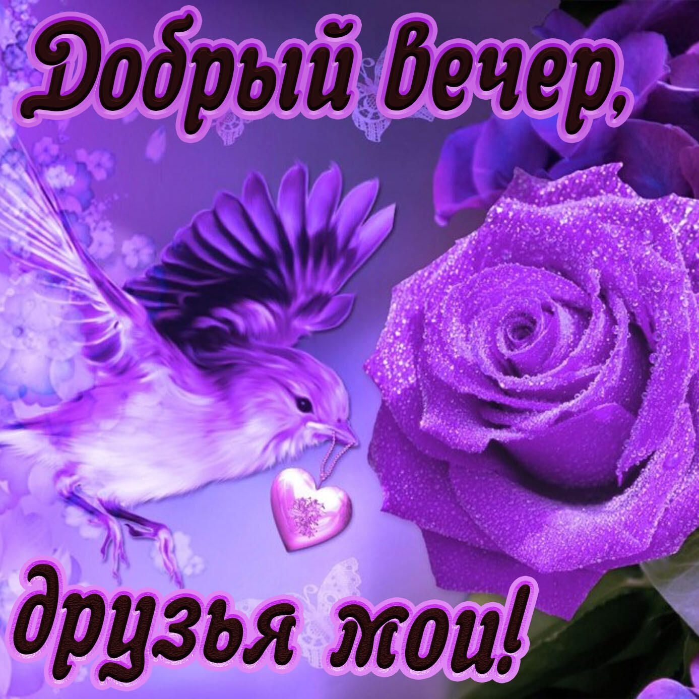 906 57 ъ дрЬзья ММ