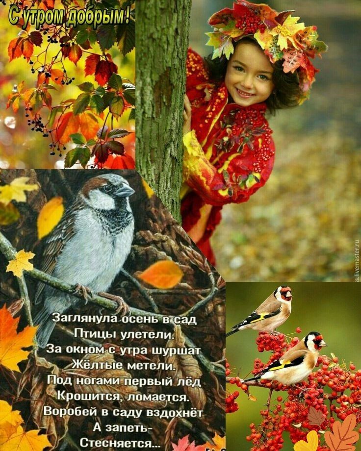 тд сш вёддхдаж _ Азапвгь стесняется ш