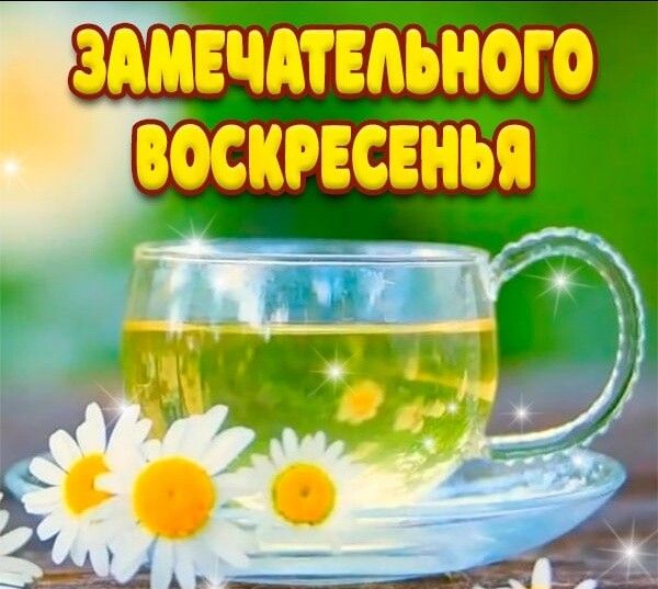 здмвчдтвдьного воскгвсійія