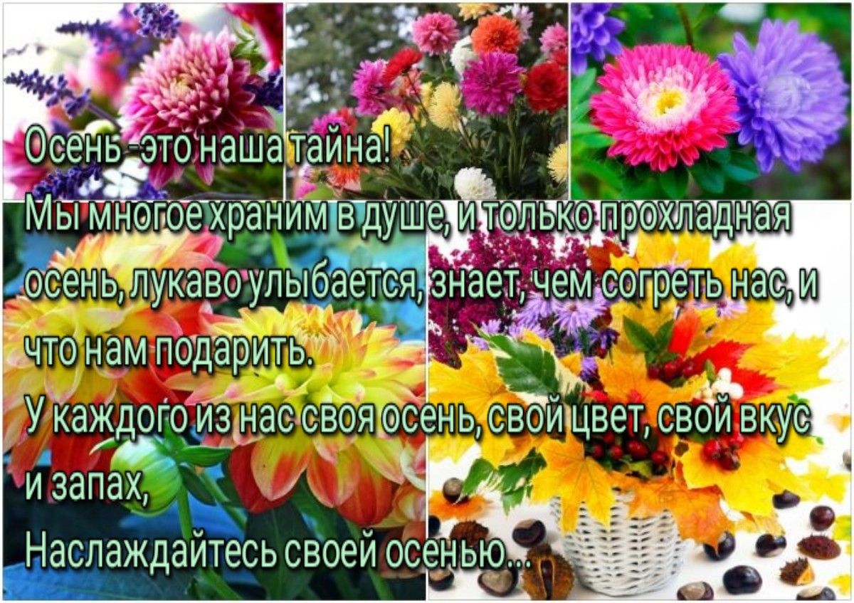 _ _ьсенцлукавсупы _ _ юА что нам пддаритй