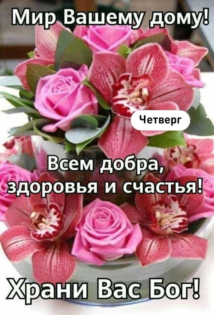 й 5 бсб е дИ О с С0 ееа С ч ъ ло З