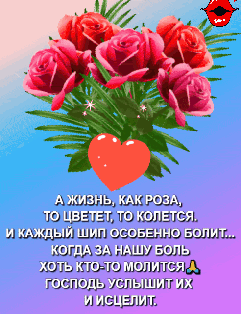 дымы шли цз извини шил ШГ дг ШЗШЁ иль даш Ю мыша щ гошшдэ ушьшиш ш и издании