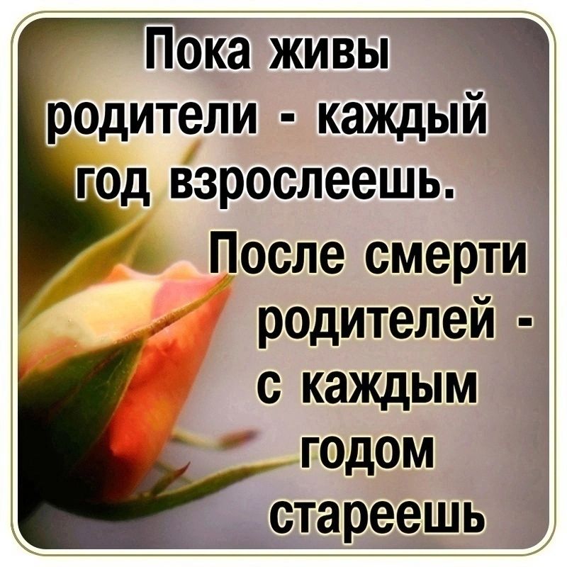 Пока живы родители каждый год взрослеешь После смерти родителей с каждым годом стареешь
