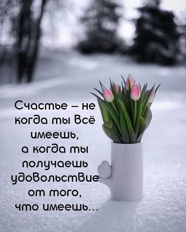 Счастье не когда ты Всё имеешь а когда ты получаешь удоВольстВие от того что имеешь