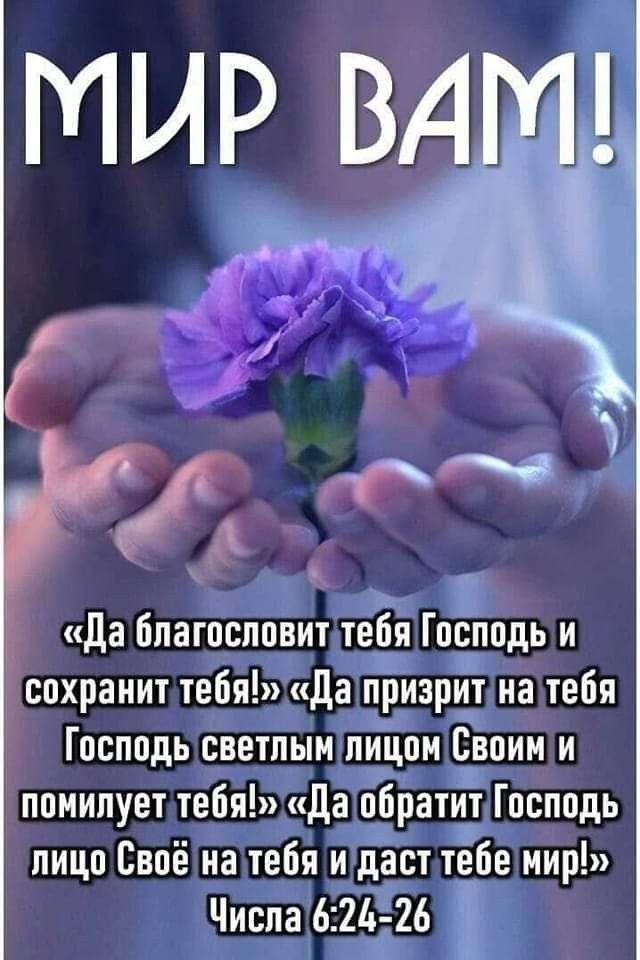 да благословит теЁп Господь и сохранит тебя да приэрит на тебя Господь светлым лицом Своим и помилует тебя да обратит Господь пицо Своё на тебя и даст тебе мир Числа в 21 26