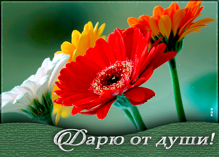 а рю от души