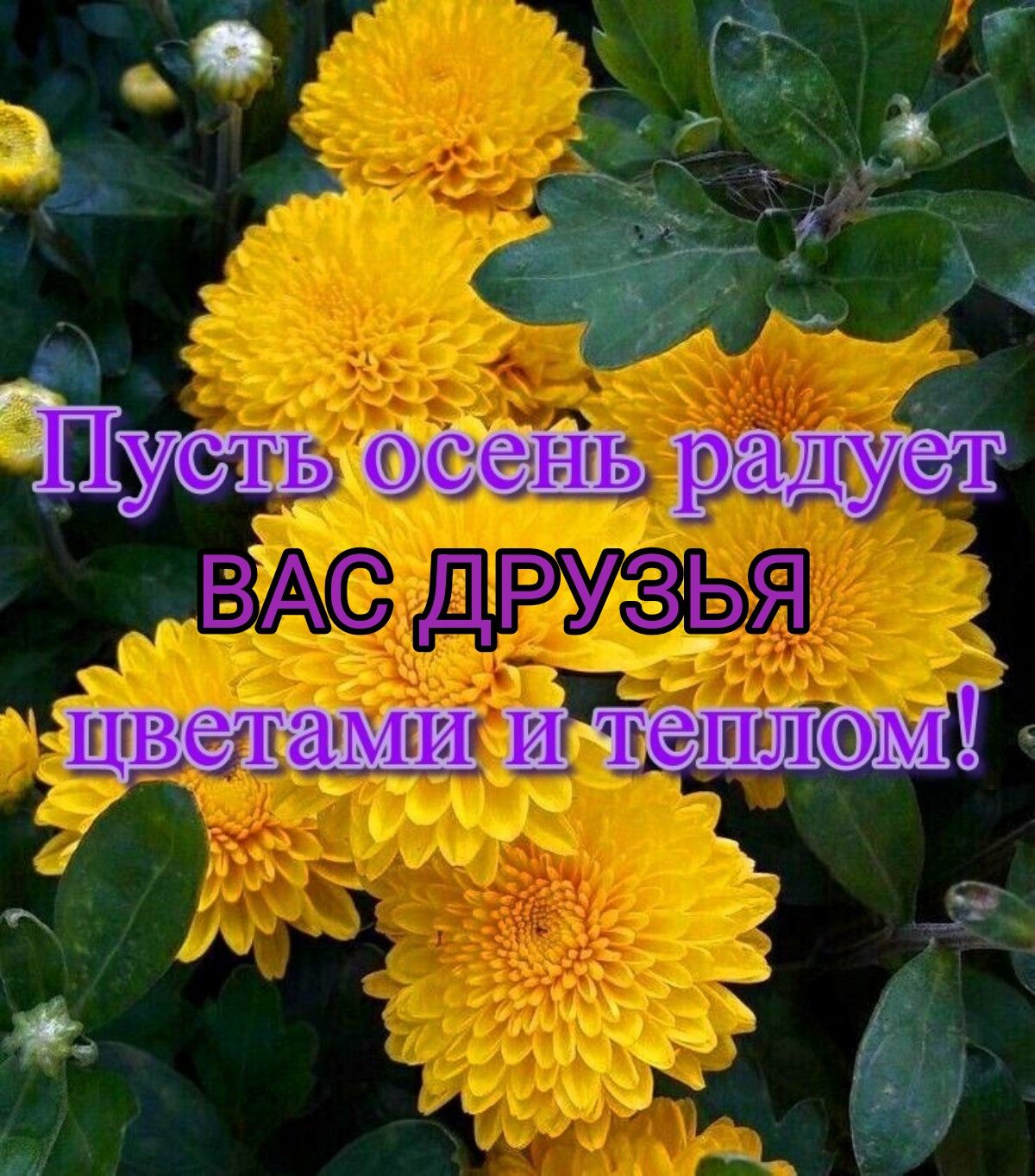 р 4 _ 4 а Тум Ёіуш ВАС друзья йпши ик