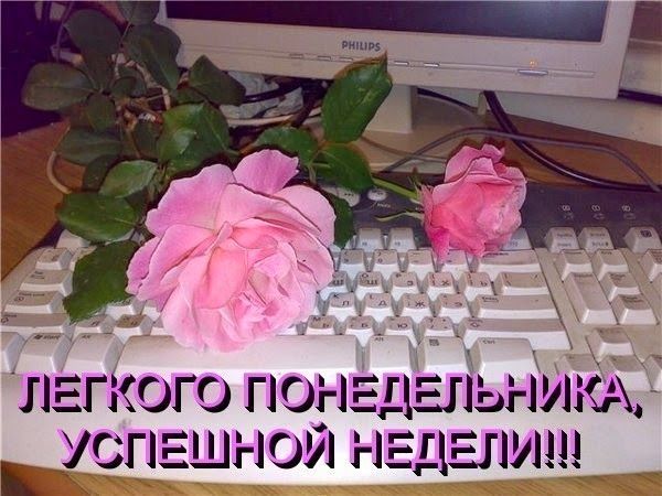 ЛЁГЁОГО ГіОгі Ц_1_і м Е _ глшнол глгдыдущд
