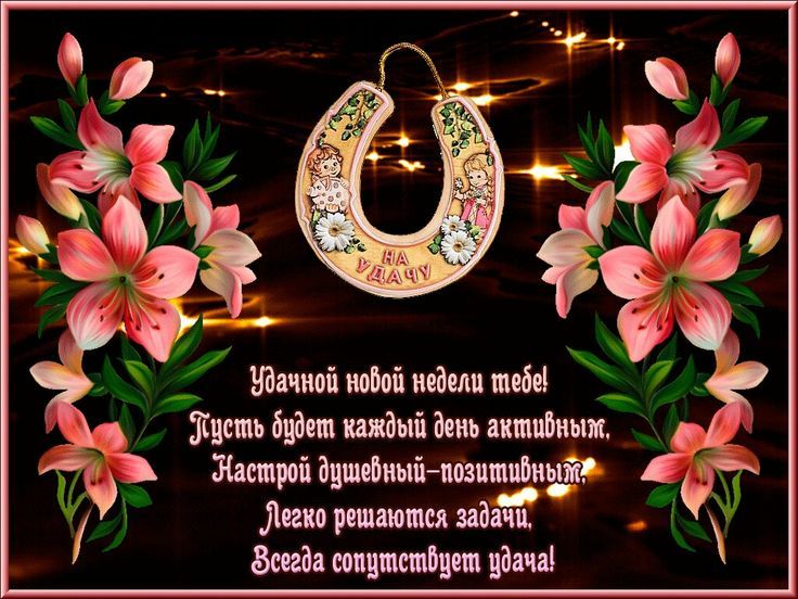Ишим пам идиш тт пдд ні Вет пишим Эдитатишину _ 9 _Лип рощ ппц шипа Фиш пап
