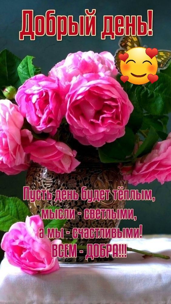 ДККТРЬОЙ ШЫ й