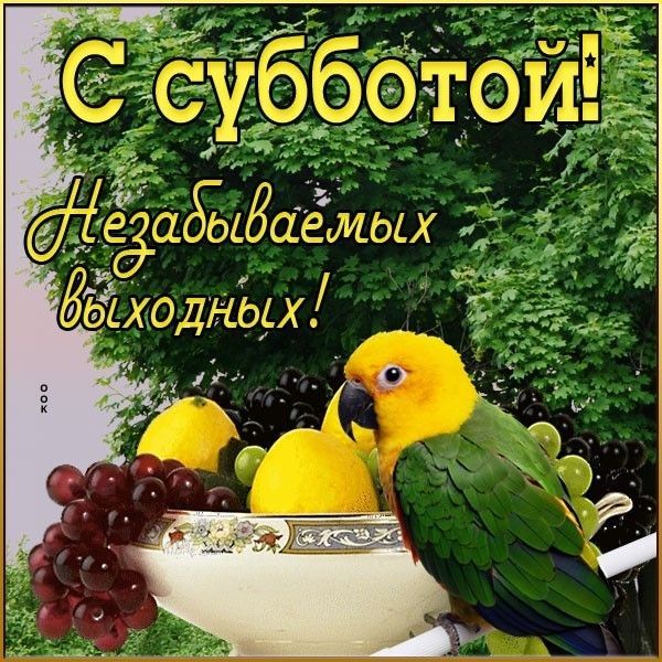 _Ы діідтёадёаёаемых ЁЁХОДНЬЫ _ дА